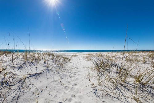 Beachin' East - image 8