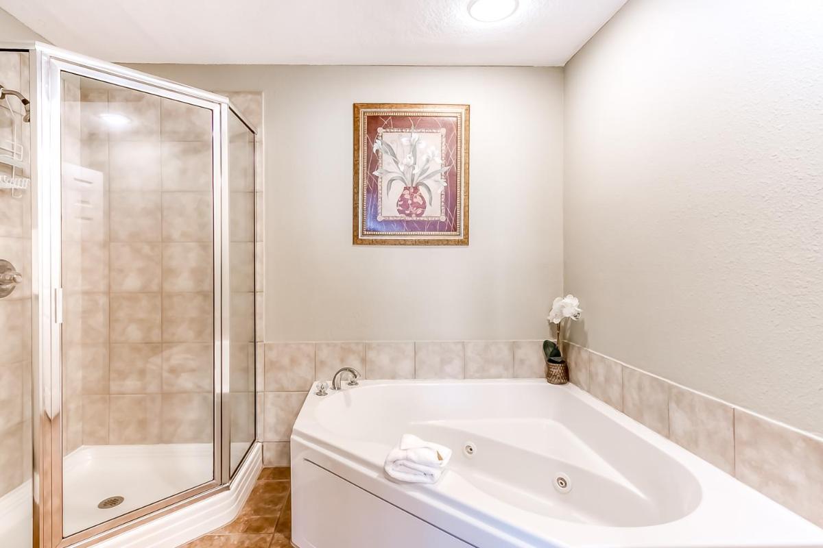 San Carlos #405 - image 6