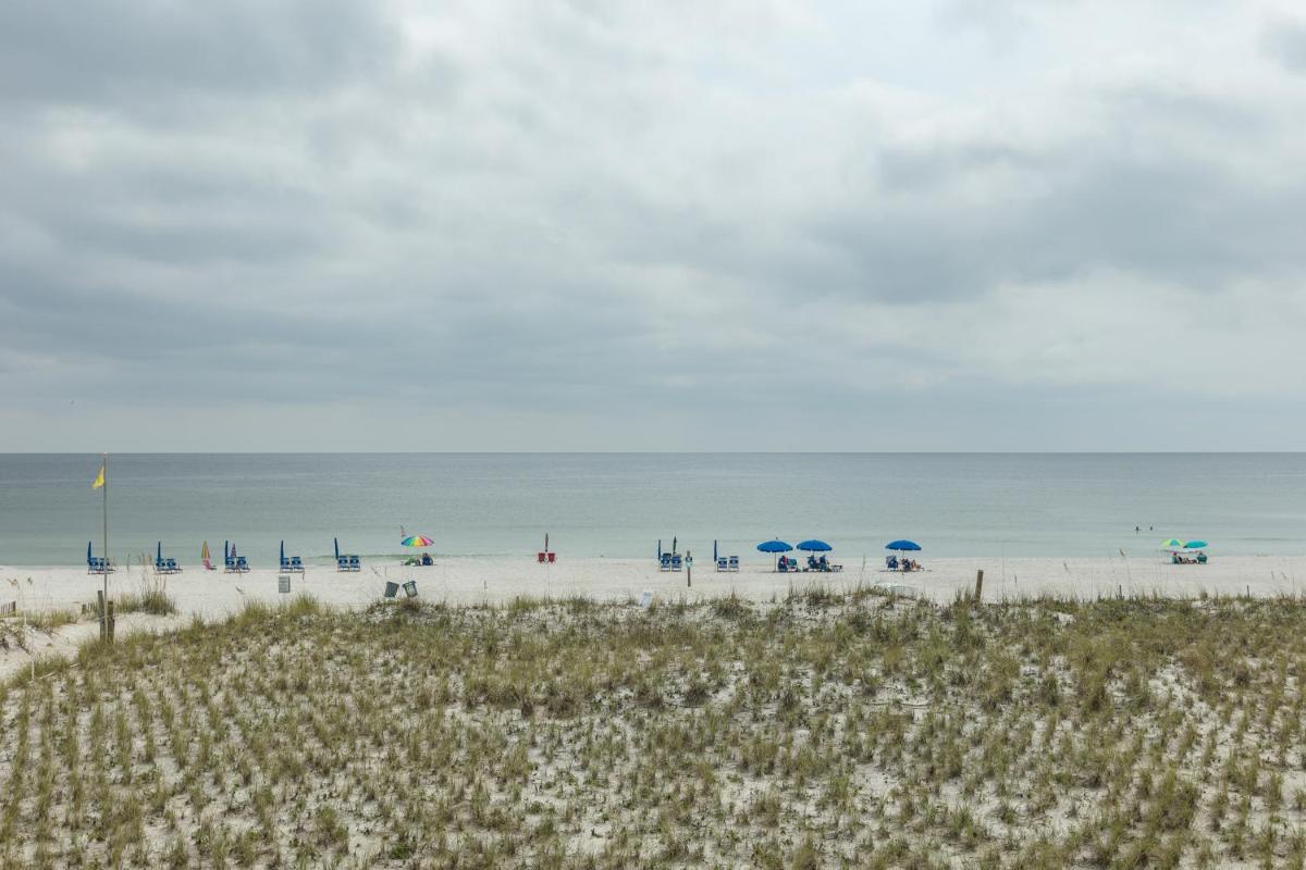 Seacrest #202 - image 7