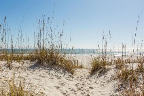 Grandview - image 5