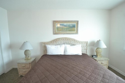 Tropical Winds 104 by Bender Vacation Rentals - image 9