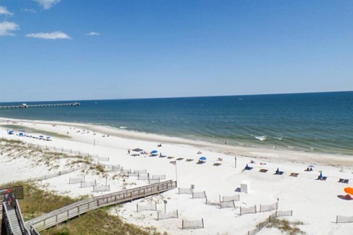 Clearwater Condos - image 2