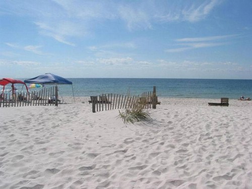 Clearwater by Bender Vacation Rentals - image 6