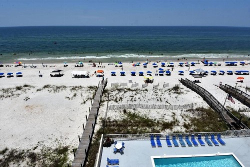 Gulf Tower by Bender Vacation Rentals - image 11