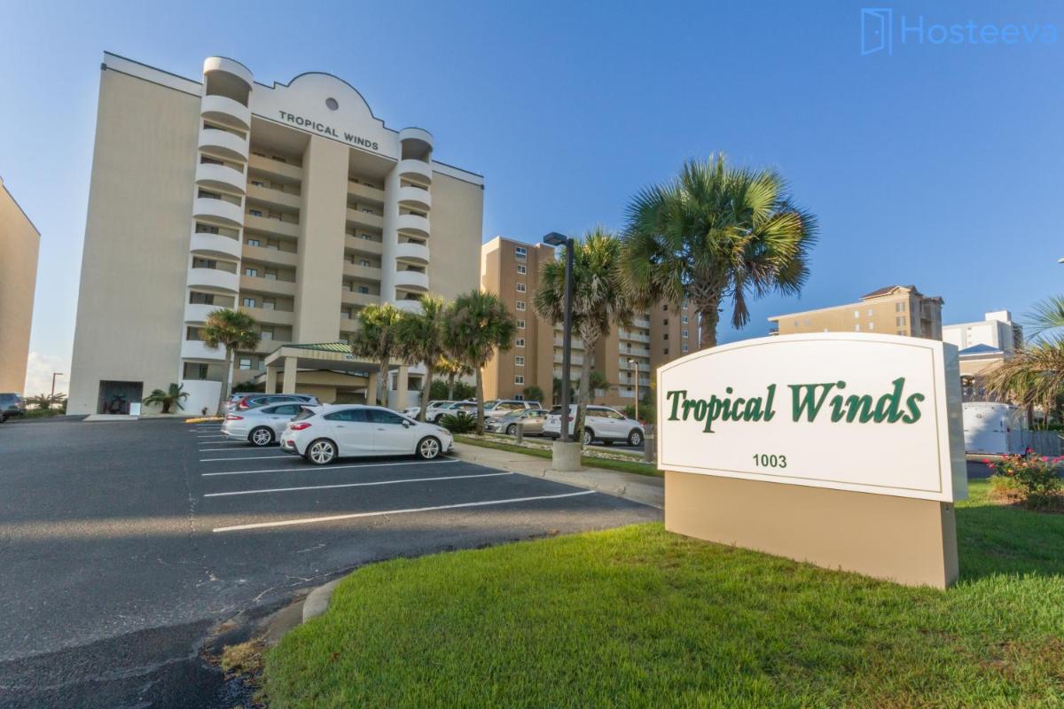Tropical Winds 501 - image 4
