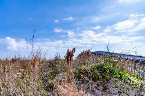 Edgewater West #62 - image 9