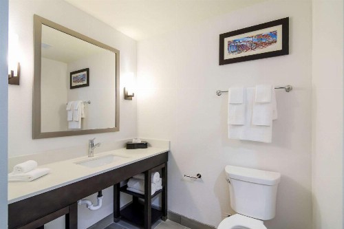 Comfort Inn & Suites - image 49