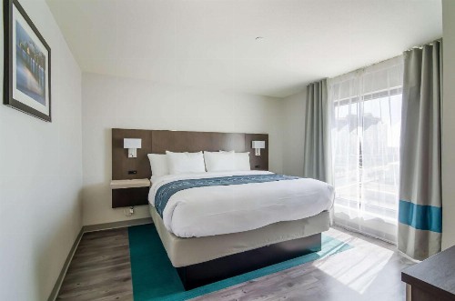 Comfort Inn & Suites - image 6