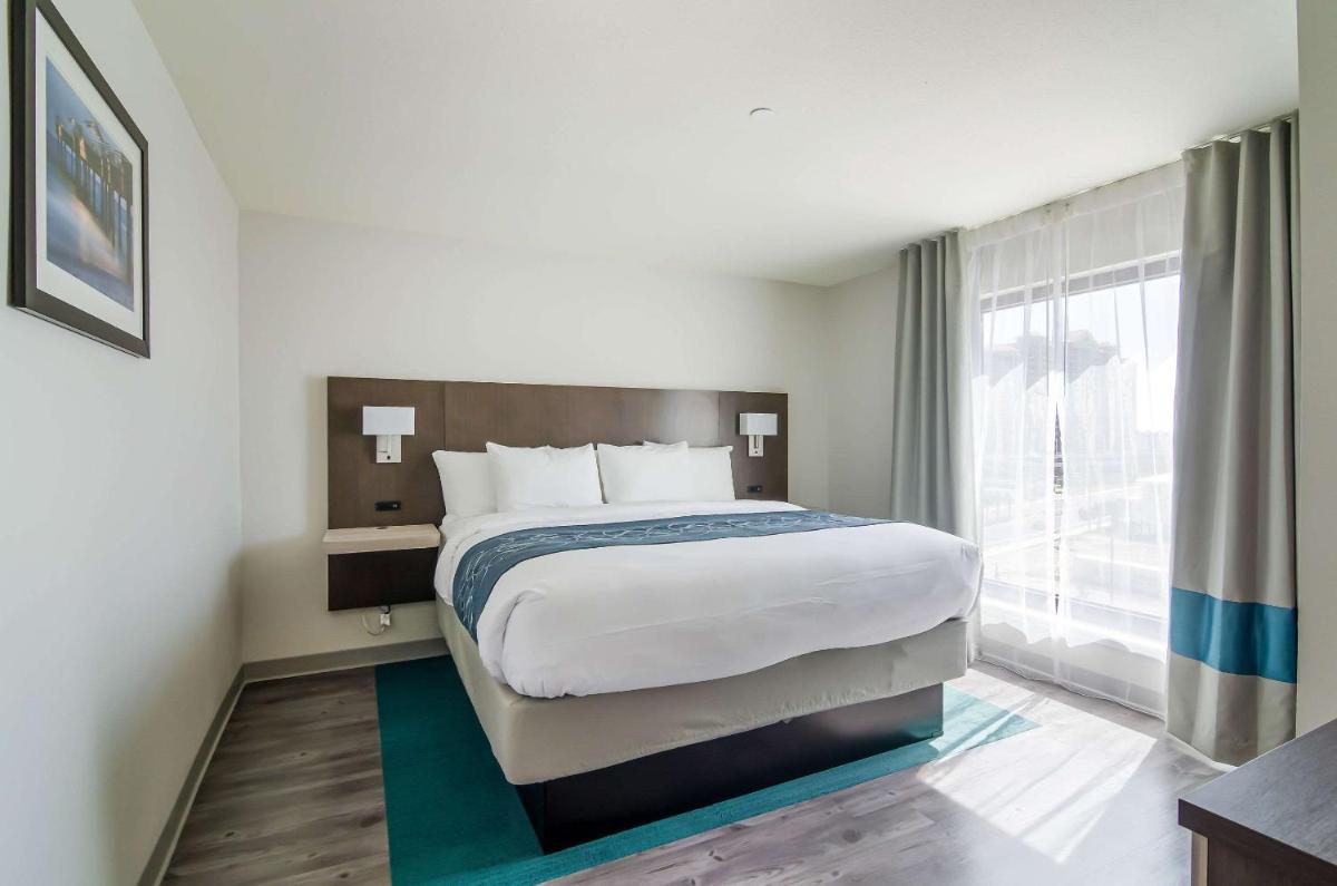 Comfort Inn & Suites - image 6