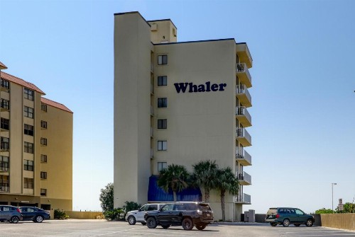 The Whaler - image 3