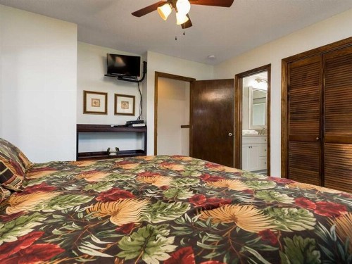 Conch Out by Meyer Vacation Rentals - image 5