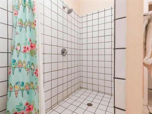 Dolphin View by Meyer Vacation Rentals - image 11