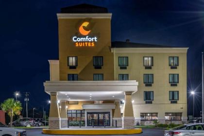 Comfort Suites Gulfport - image 6