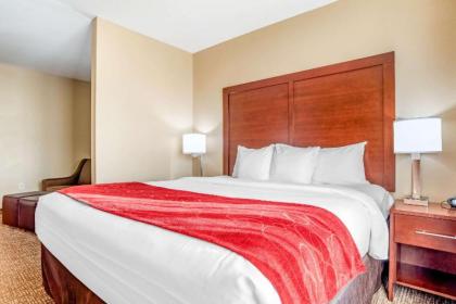 Comfort Suites Gulfport - image 10