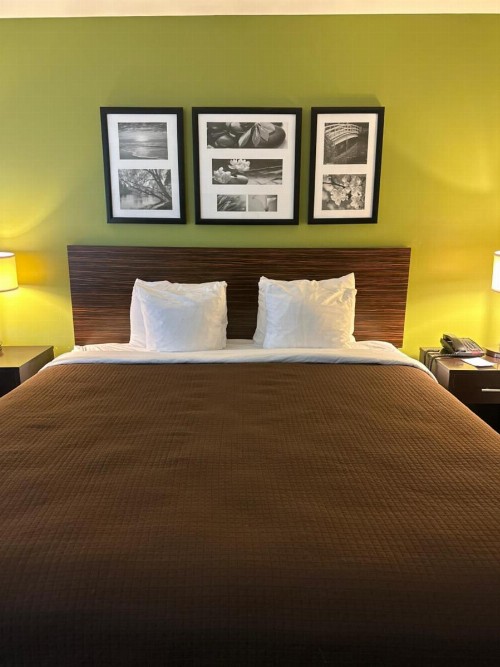 Sleep Inn & Suites Gulfport - image 10
