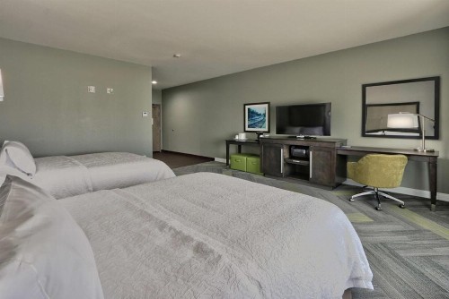 Hampton Inn & Suites Guthrie OK - image 13