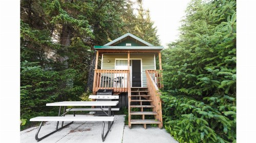 Cabin 1 Lynn View Lodge - image 6