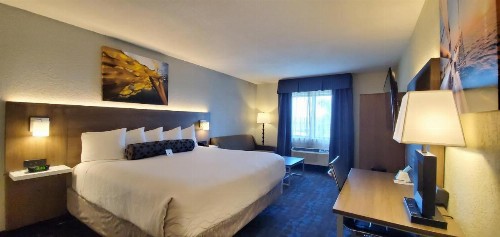 Best Western Plus Hollywood/Aventura - image 5