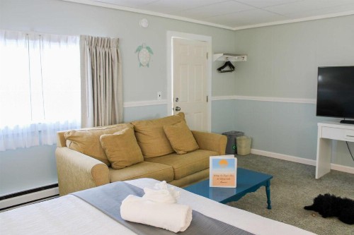 The Janmere Motel - image 33