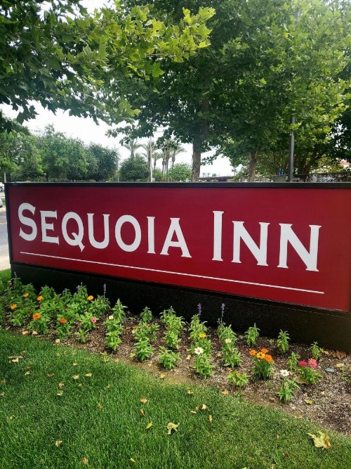 Sequoia Inn - image 6