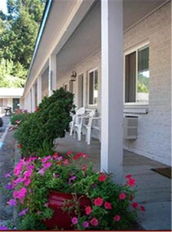 Forest Lodge Motel - image 3