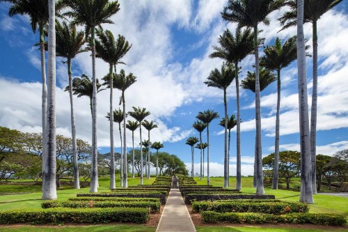 The Westin Hapuna Beach Resort - image 12