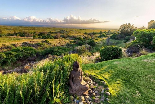 Frank Lloyd Wright Home by South Kohala Management - image 6