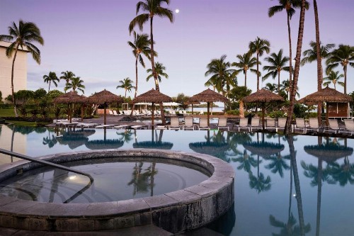 Marriott’s Waikoloa Ocean Club - image 28