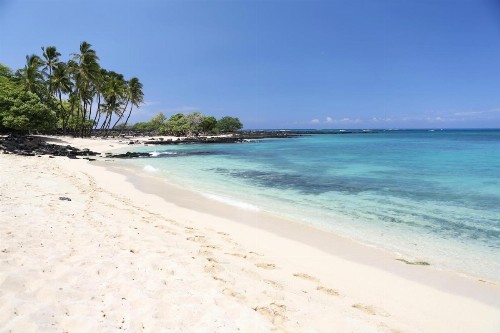 Ainamalu 29 at Waikoloa Beach Resort - image 36