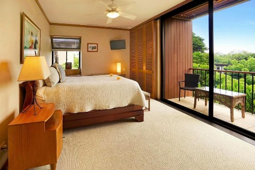 Mauna Lani Terrace D301 - image 7