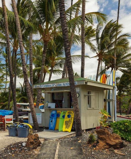 KaMilo 331 - image 11