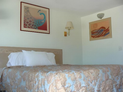 Horizon Inn Motel - image 21