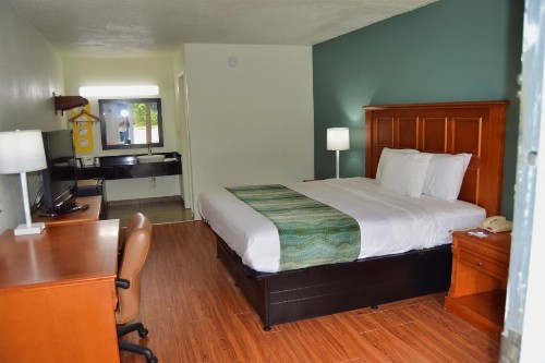 Motel 6-Hardeeville SC - image 31