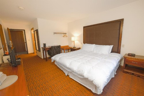 Harlan Inn and Suites - image 23