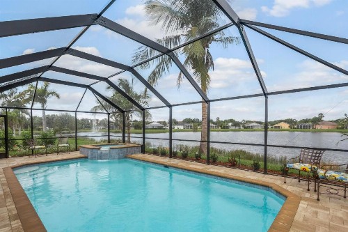 Palm Tree Paradise - image 8
