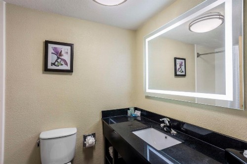 Best Western Harrisburg North Hotel - image 28