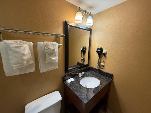 Quality Inn Riverfront - image 28