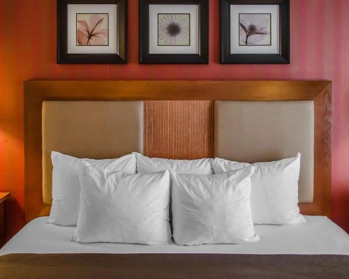 Quality Inn Riverfront - image 5
