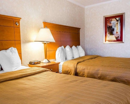 Quality Inn Harrisburg - Hershey Area - image 14