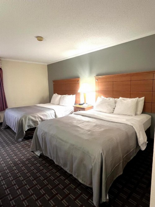 Quality Inn Harrisburg - Hershey Area - image 25