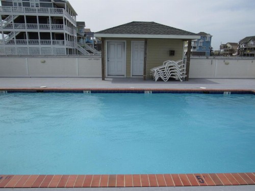 Sea Gull - image 12