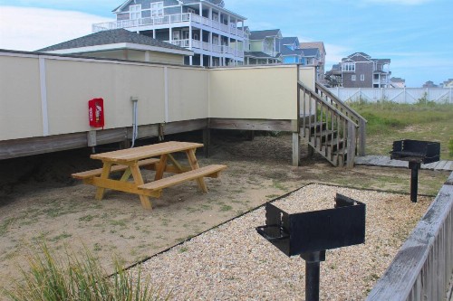 Sea Gull - image 14
