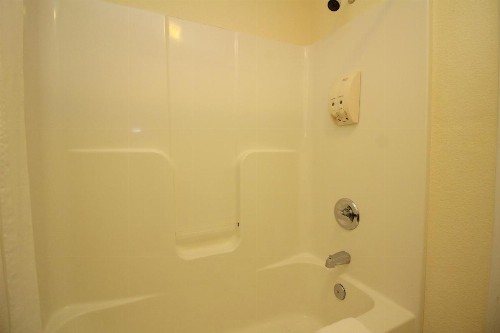 Sea Gull - image 21