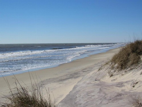 Sea Gull - image 22