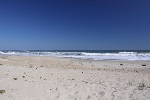 Vincent VanGo to the Beach #13-H - image 11