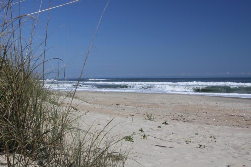 Vincent VanGo to the Beach #13-H - image 12