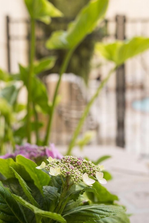 Ayres Hotel Manhattan Beach - image 23