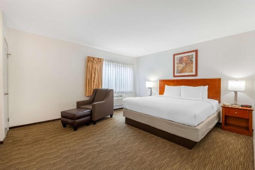 Comfort Inn Cockatoo Near LAX - image 14