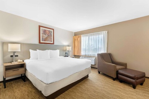 Comfort Inn Cockatoo Near LAX - image 2