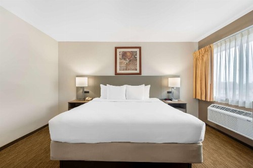 Comfort Inn Cockatoo Near LAX - image 6